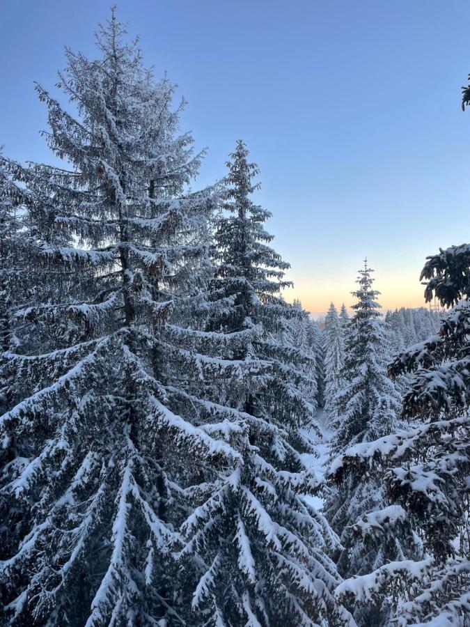 Woodside Apartment 431, Kopaonik - One Separate Bedroom 35M2- Free Parking & Spa Екстериор снимка
